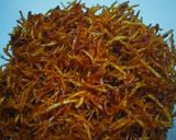 Foto langkah ke 5 dari resep Kentang mustofa (kriuk kriuk).
