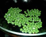 A picture of step 1 of Green garlic laccha paratha with matar paneer.