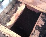 Foto del paso 1 de la receta: Germinados de lenteja en casa