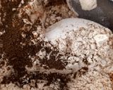 عکس مرحله 2 از دستور حلوا گردویی رژیمی