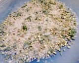 Foto del passaggio 2 della ricetta Filetti di platessa al profumo di aromi e limone panati e cotti in forno
