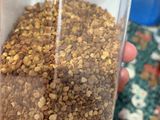 Infus water- rimpang- bee polen