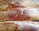 Foto del paso 1 de la receta: Solomillo ibérico con salsa de pistachos y granada