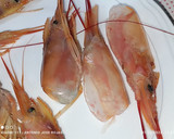 Foto del paso 1 de la receta: Tartar de gambón y pincho de gamba langostinera