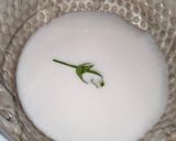 Foto langkah ke 2 dari resep Pepaya Santan.