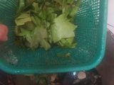 Oseng Nangka Muda Daun Melinjo