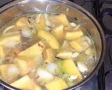 Foto del paso 3 de la receta: Sopa crema de zapallo vegana