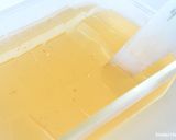 蜂蜜檸檬愛玉凍的食譜步驟6照片