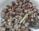 Gambar langkah 5 resipi Kerang masak kicap pekat likat.