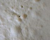 Foto del paso 4 de la receta: Pionono de dulce de guayaba