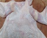 Foto langkah ke 2 dari resep Ayam Kodok Anniversary.