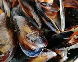 Foto del paso 2 de la receta: Mejillones con pipirrana