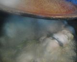 Foto del paso 1 de la receta: Manitas de cerdo en salsa en olla de barro