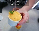 Foto del paso 5 de la receta Sorbete de Mandarina sin Azúcar de Paufeel