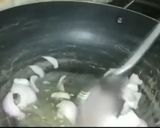 A picture of step 4 of Vegetables desi masala noodles🍜.