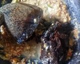 Foto langkah ke 2 dari resep Rujak cingur khas sidoarjo.