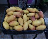 Foto del paso 3 de la receta: Mermelada de mango