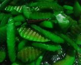 Foto langkah ke 3 dari resep Manisan Pepaya (Tips Agar tidak hancur).