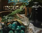 Gambar langkah 2 resipi Telur puyuh pindang bunga telang #iladila.