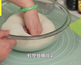 【優格蜂蜜迷你吐司】手揉免機器｜磅蛋糕模的食譜步驟11照片