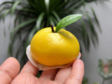 Bakpao jeruk simple