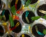 Foto langkah ke 2 dari resep Puding "cacing tanah".