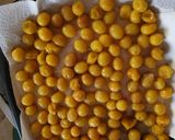 Mirabellen als Umeboshi einlegen Rezeptschritt 8 Foto