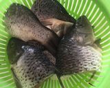 Foto langkah ke 3 dari resep Ikan Mas Kuah Kuning.