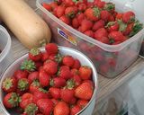 Foto del paso 1 de la receta: Helados de frutilla sencillos