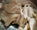 Foto langkah ke 1 dari resep Mushroom tempura.
