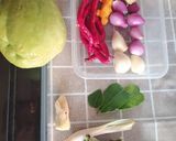 Foto langkah ke 1 dari resep Sayur Labu Siam Santan + Telur.