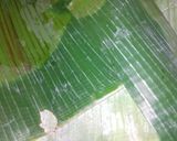 Foto langkah ke 5 dari resep Pelas jagung(botok jagung).