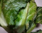 A picture of step 1 of Mint cabbage ghonta.