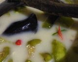 Foto langkah ke 4 dari resep Lodeh Terong.