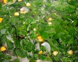 Foto langkah ke 4 dari resep Sayur Kelor Jagung Manis.