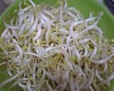 Foto langkah ke 1 dari resep Cah Kailan Toge Bakso.