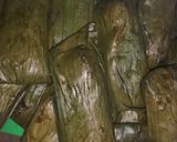 Foto langkah ke 4 dari resep Lapek Pisang Padang.