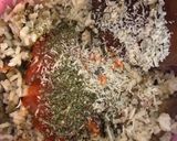 Foto del paso 5 de la receta Berenjenas rellenas de arroz, atún y queso (en freidora de aire)