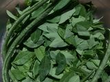 Tumis Daun Katuk