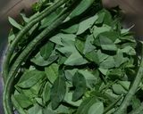 Foto langkah ke 1 dari resep Tumis Daun Katuk.