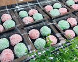 Foto langkah ke 5 dari resep Bola-bola singkong ini selai.