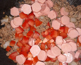 Foto del paso 2 de la receta: Chili dog