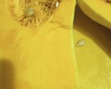 A picture of step 2 of Autumn Butternut Squash.