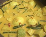 Foto langkah ke 6 dari resep Sayur lodeh tempe tahu telur.
