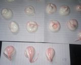 A picture of step 3 of Meringue cookies 😍.