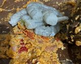 Foto langkah ke 2 dari resep Mie Goreng Tek-Tek.