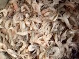 Peyek udang renyah