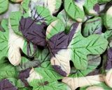 A picture of step 1 of Season leaf cookies 🍁.