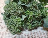 Foto del paso 1 de la receta: Brócoli capeado en air fryer