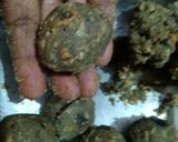 A picture of step 4 of Bajra churma Laddoo.